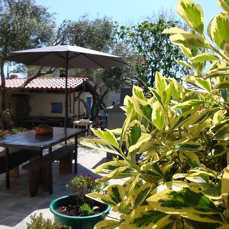 Apartments Olea Pinezići Exterior foto